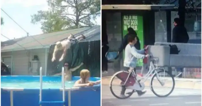 20 находчивых людей, чья гениальность не знает границ