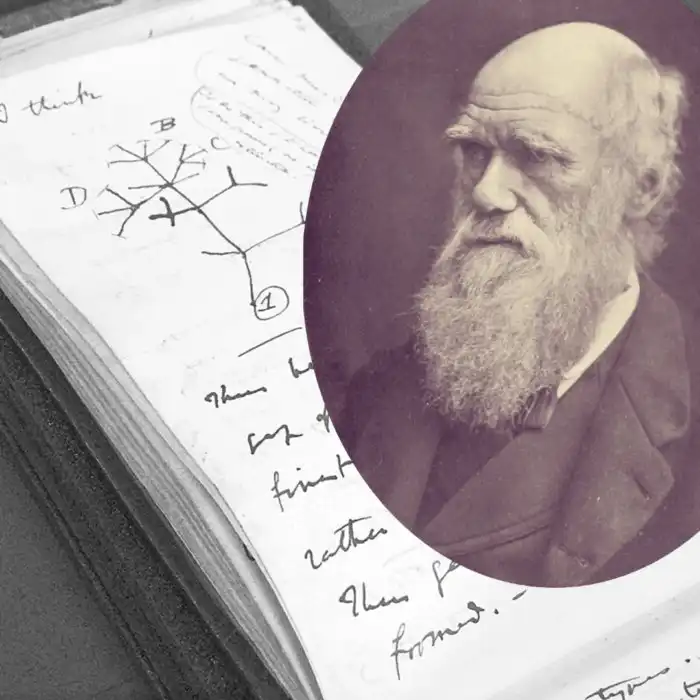 Тайна украденных записных книжек Чарльза Дарвина