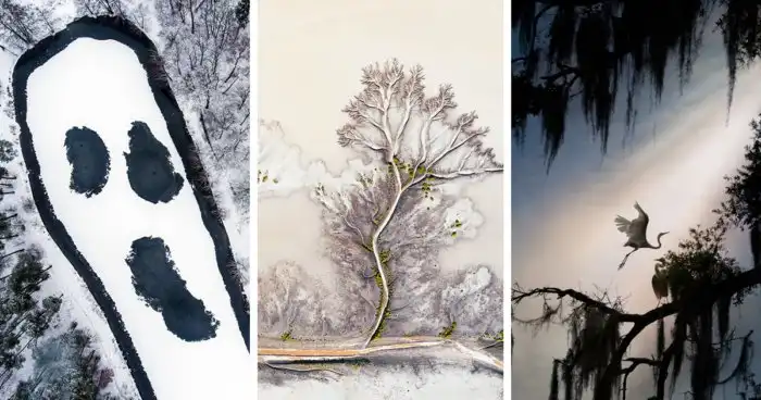 Фотоконкурс One Eyeland объявил победителей