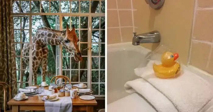 35 раз, когда отели приятно удивили постояльцев