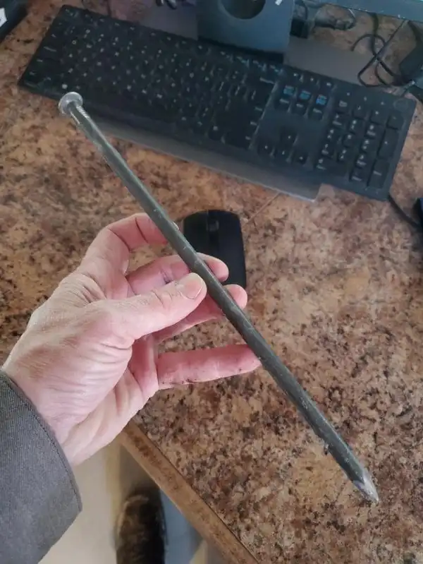 Подборка снимков из серии "все познается в сравнении"