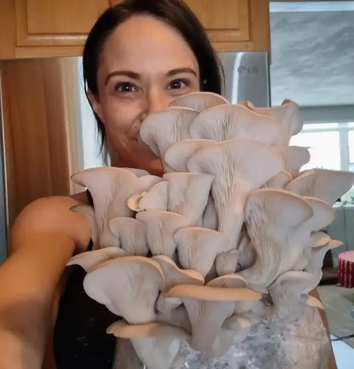 16 раз, когда люди пошли за грибами, и нашли экземпляры словно из сказочного леса