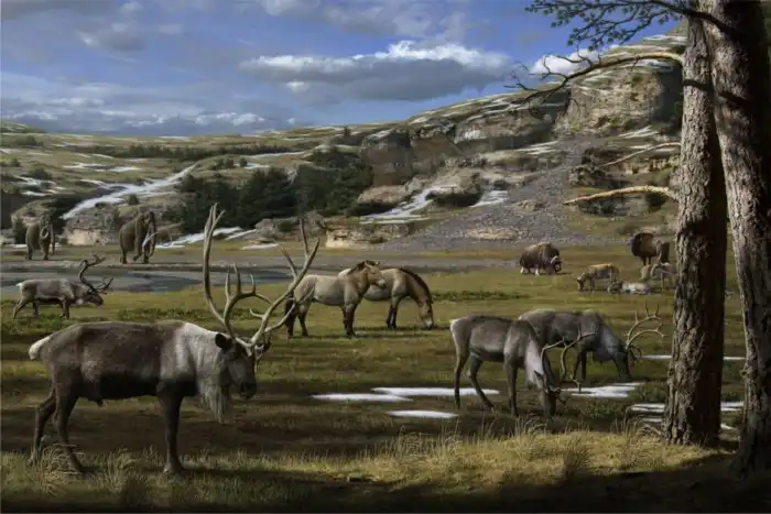 Плейстоценовый парк: Зачем люди восстанавливают экосистему Ледникового периода на севере Якутии?