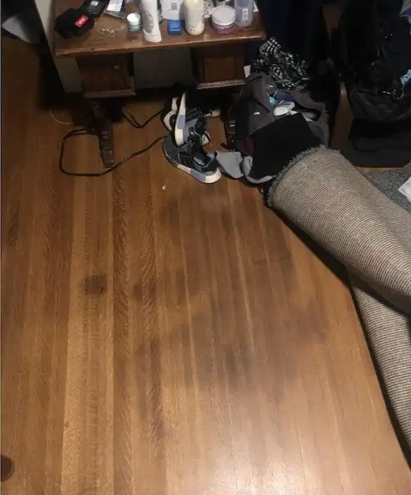 25 жутких находок в жилых домах