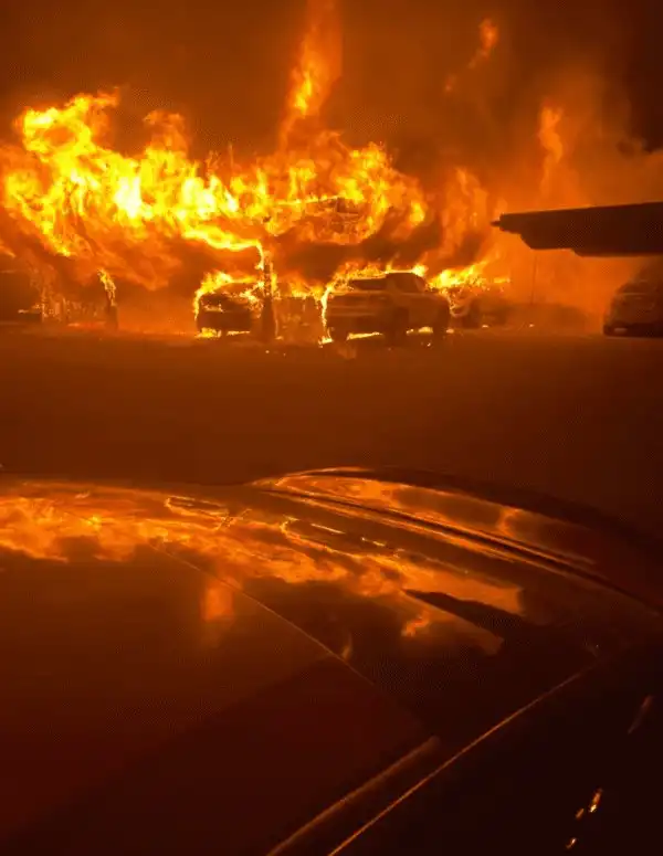 20 человек, которые точно откликаются на кличку "Счастливчик"