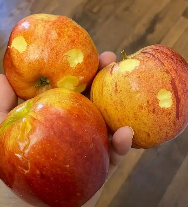 Реальные будни мам, о которых не рассказывают в глянцевых журналах