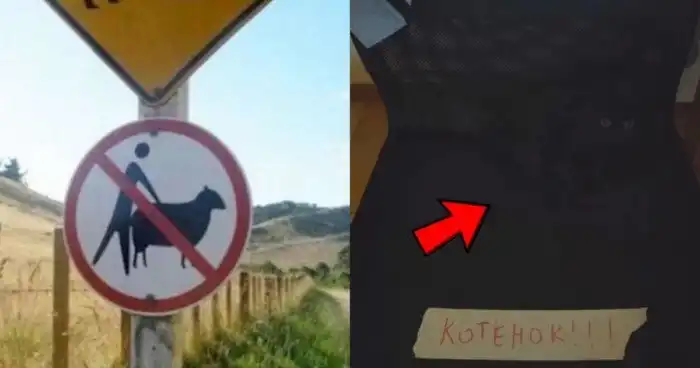 От курьёзных до слишком курьёзных: очень странные предупреждения