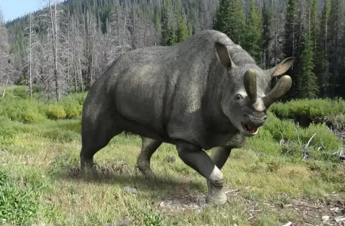 Бронтотерий: Гигант в 4 тонны, у которого мозг был с человеческий кулак. Наглядная иллюстрация, что помимо силы нужен и ум!