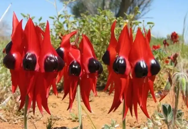 Подборка редких продуктов, которые мало кто пробовал