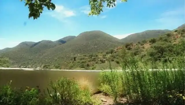 Подборка фотографий, в которые надо вглядеться