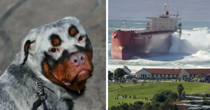 26 странных, жутких и любопытных историй и фактов обо всём на свете