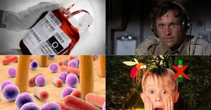 Цвета, беременность и углекислый газ: кого чаще достают летающие «кровососы»?