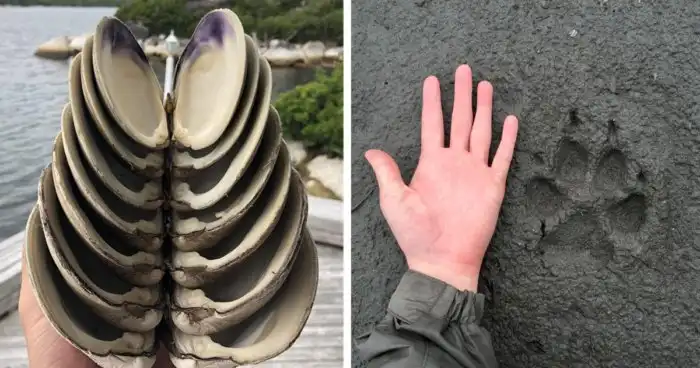 35 неожиданных находок и открытий, которыми поделились пользователи сети