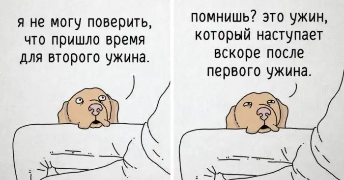 О чём бы говорили животные, если бы изъяснялись на нашем языке