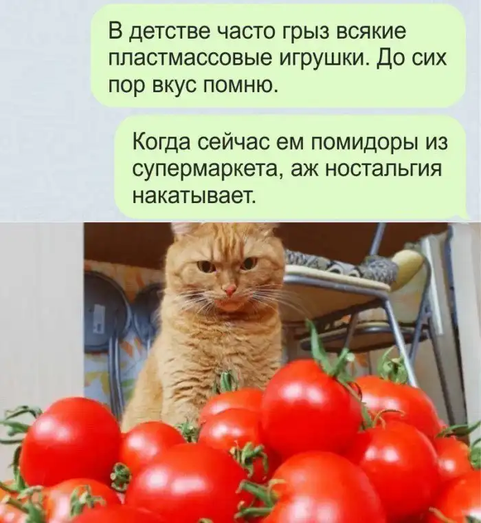 Жизненные ситуации, в которых оказывался каждый из нас