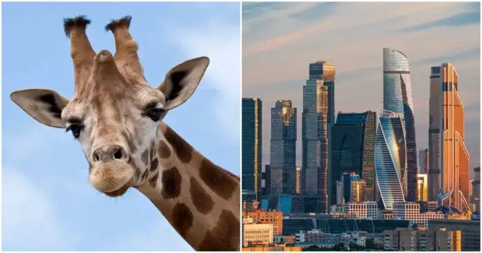 35 очень интересных фактов обо всем