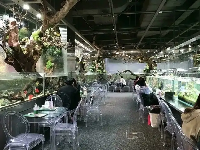 Любопытные фотографии из Южной Кореи