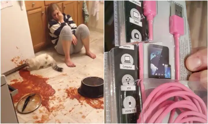 Жизнь с женой - это весело: 20+ эпичных курьёзов из семейной жизни