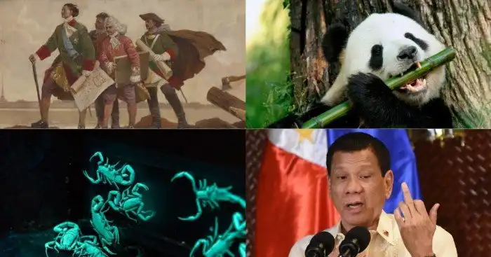 Галлюциногенный мёд, светящиеся скорпионы и другие любопытные факты и истории обо всём на свете