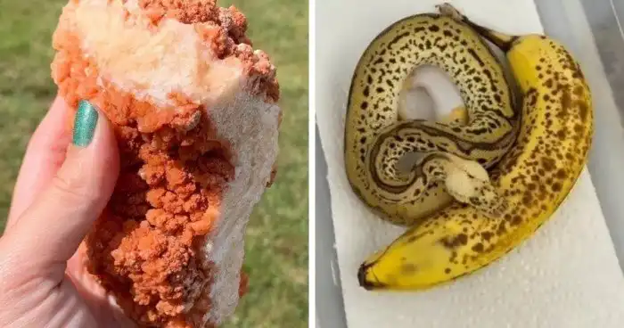 18 фотографий предметов, которые только притворяются чем-то съедобным, но пробовать их точно не стоит