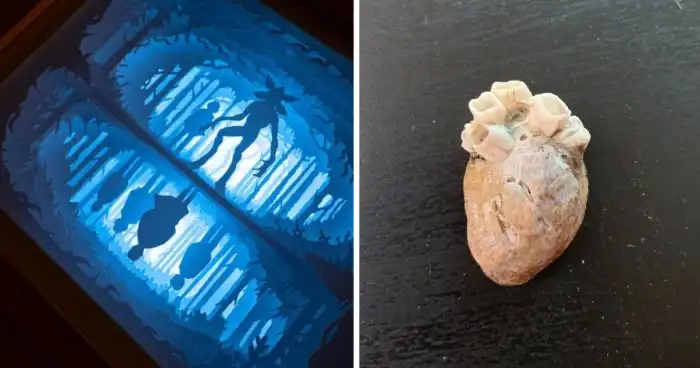 20 фото любопытных штуковин, которыми поделились пользователи сети