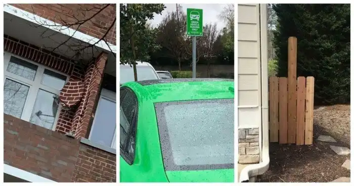 25 гениев, которые победили систему, следуя правилам