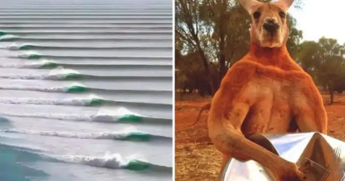 15 удачливых людей, которым попались настоящие редкости