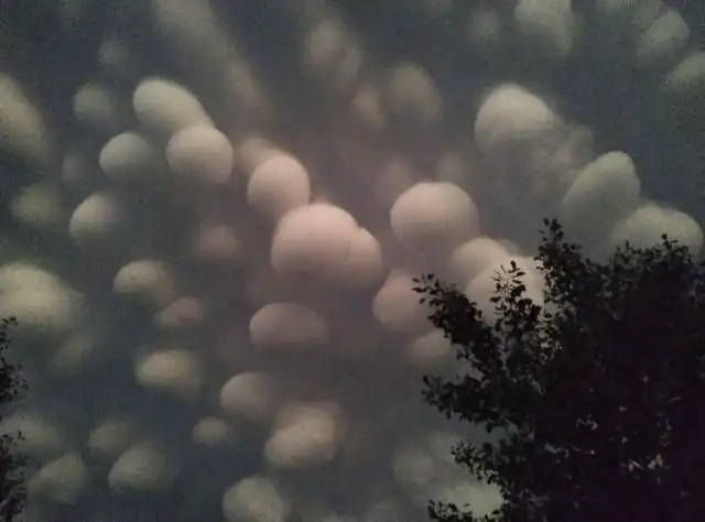 Подборка любопытных природных явлений