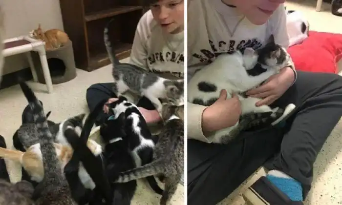 Фотоистории, которые вселяют веру в будущее