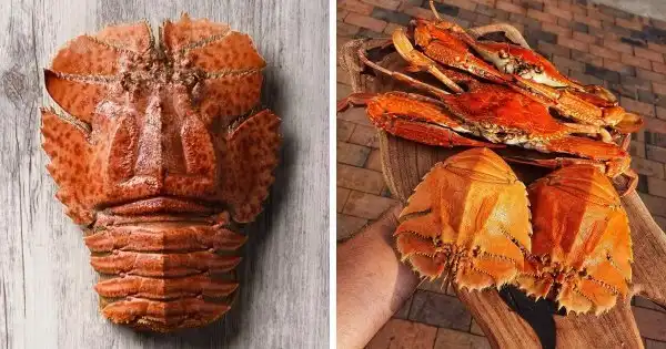 "Вкусно, но не аппетитно": необычные деликатесы