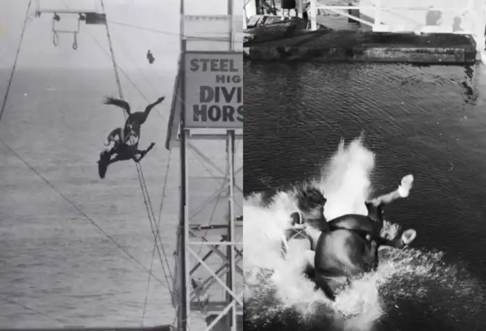 Шесть любопытных фактов и историй обо всём на свете