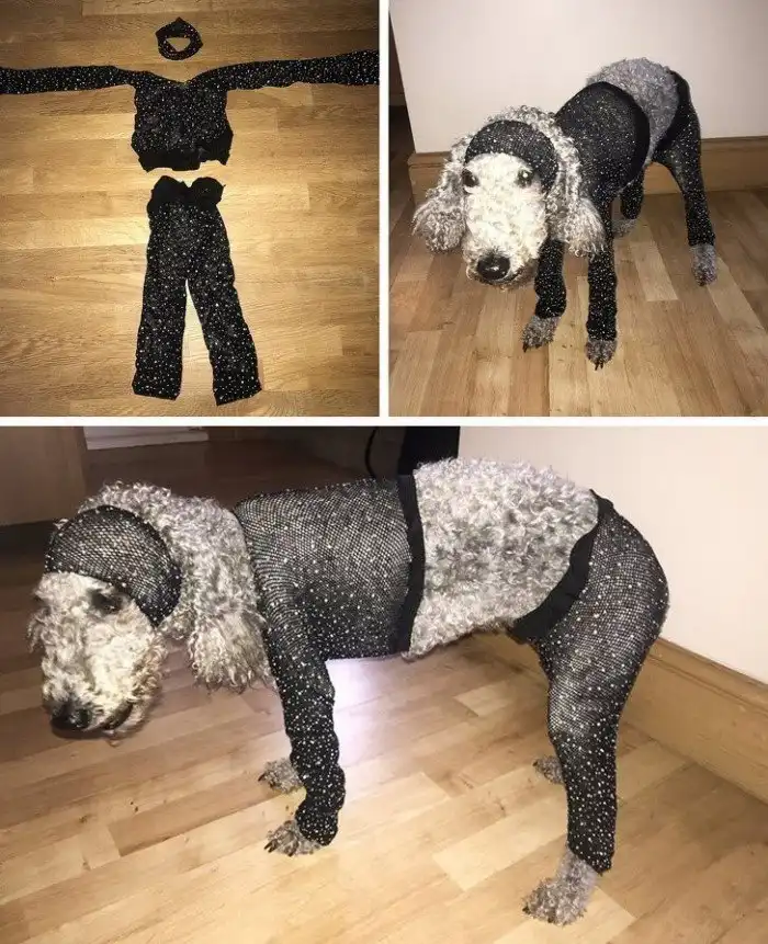 15 человек, которым интернет-шопинг подложил свинью