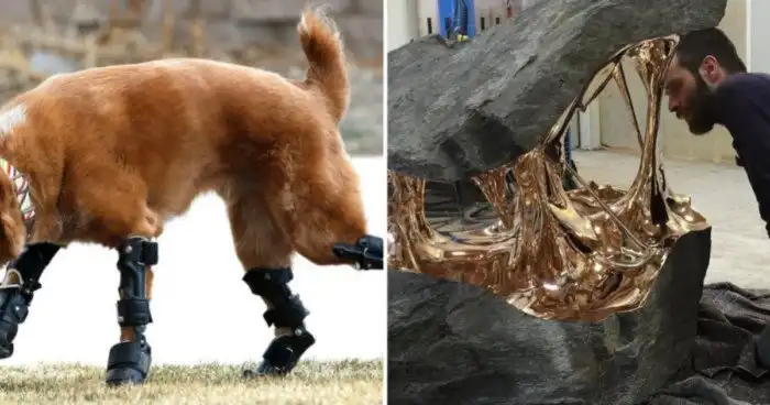 15 увлекательных изображений необычных вещей