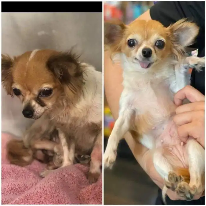 17 трогательных историй, которые докажут, что забота и любовь могут всё