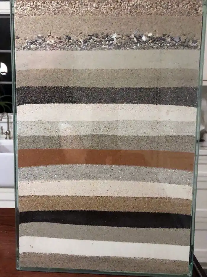 30 необычных и забавных коллекций, которыми похвастались пользователи сети