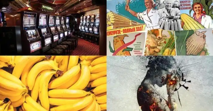 Всемирная кукуруза, срок годности воды, заменитель энергетика и другие интересные факты обо всём на свете