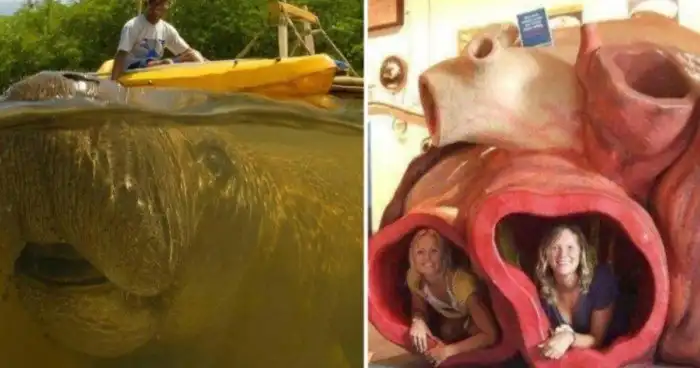 17 вещей, которые слишком велики для нашего мира