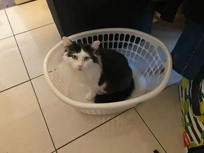 20+ людей, которые поделились своими маленькими "победами"