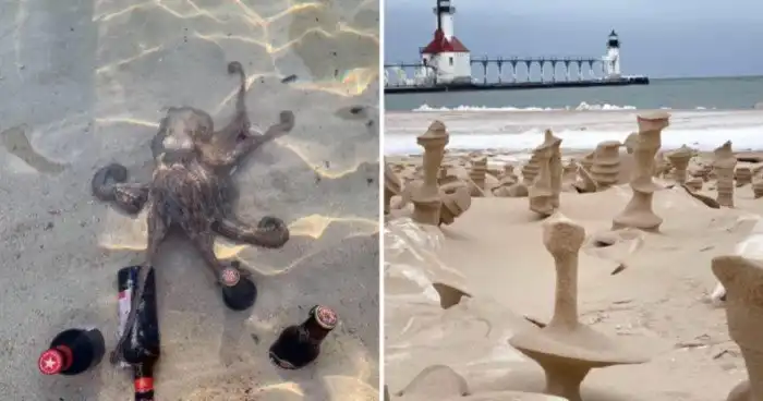 18 неожиданных пляжных находок, которые попались отдыхающим