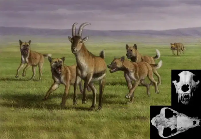 Как свирепые хищники одомашнились и стали преданными друзьями человека