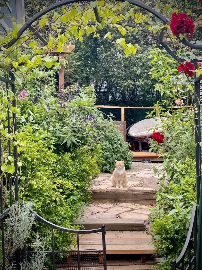 Уютные места, находиться в которых одно удовольствие