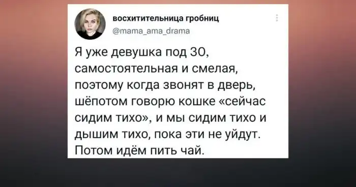 Посвящается кошатникам: и будут они жить долго и счастливо