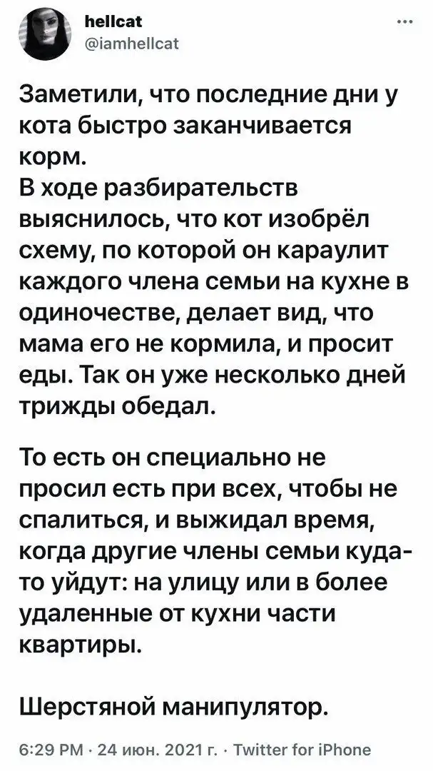 Посвящается кошатникам: и будут они жить долго и счастливо