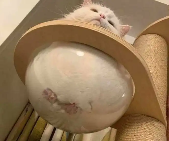 Пугающие и притягательные: фото, которые надолго останутся в памяти