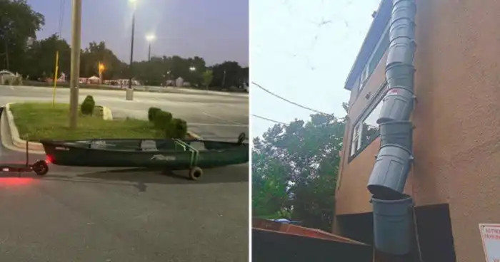 15 творческих людей, которых должны пригласить работать в Сколково