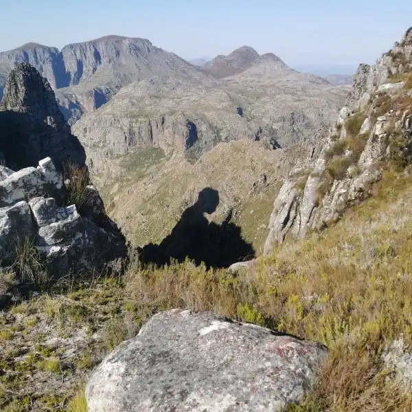 Театр теней: пользователи показали интересные тени, которые сбили их с толку