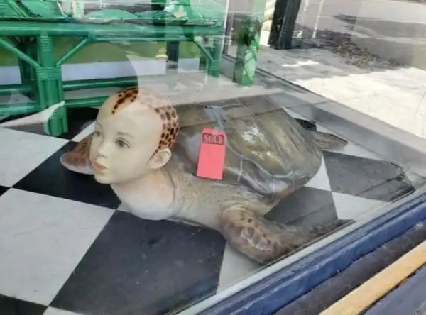 Качественное исполнение очень странных идей