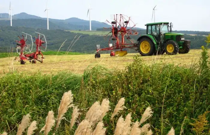 Аргентина – несостоявшаяся сверхдержава, которая ещё 100 лет назад была богатейшей страной