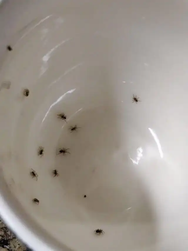 15 человек, у которых проблемы множатся как кролики весной