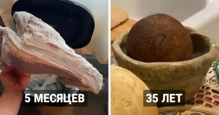 15 примеров того, как меняются вещи, оставленные на некоторое время